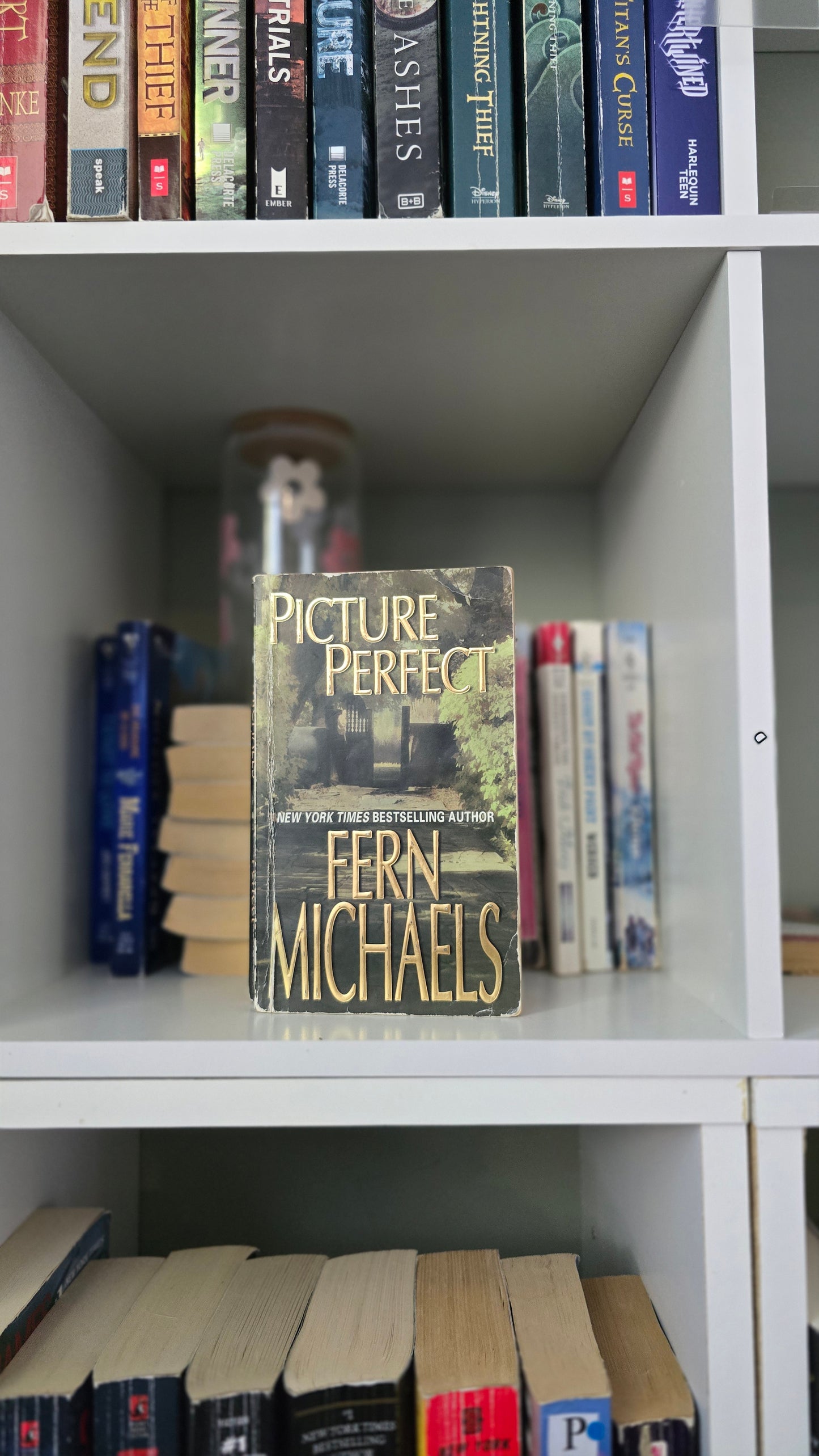 Picture Perfect by Fern Michaels