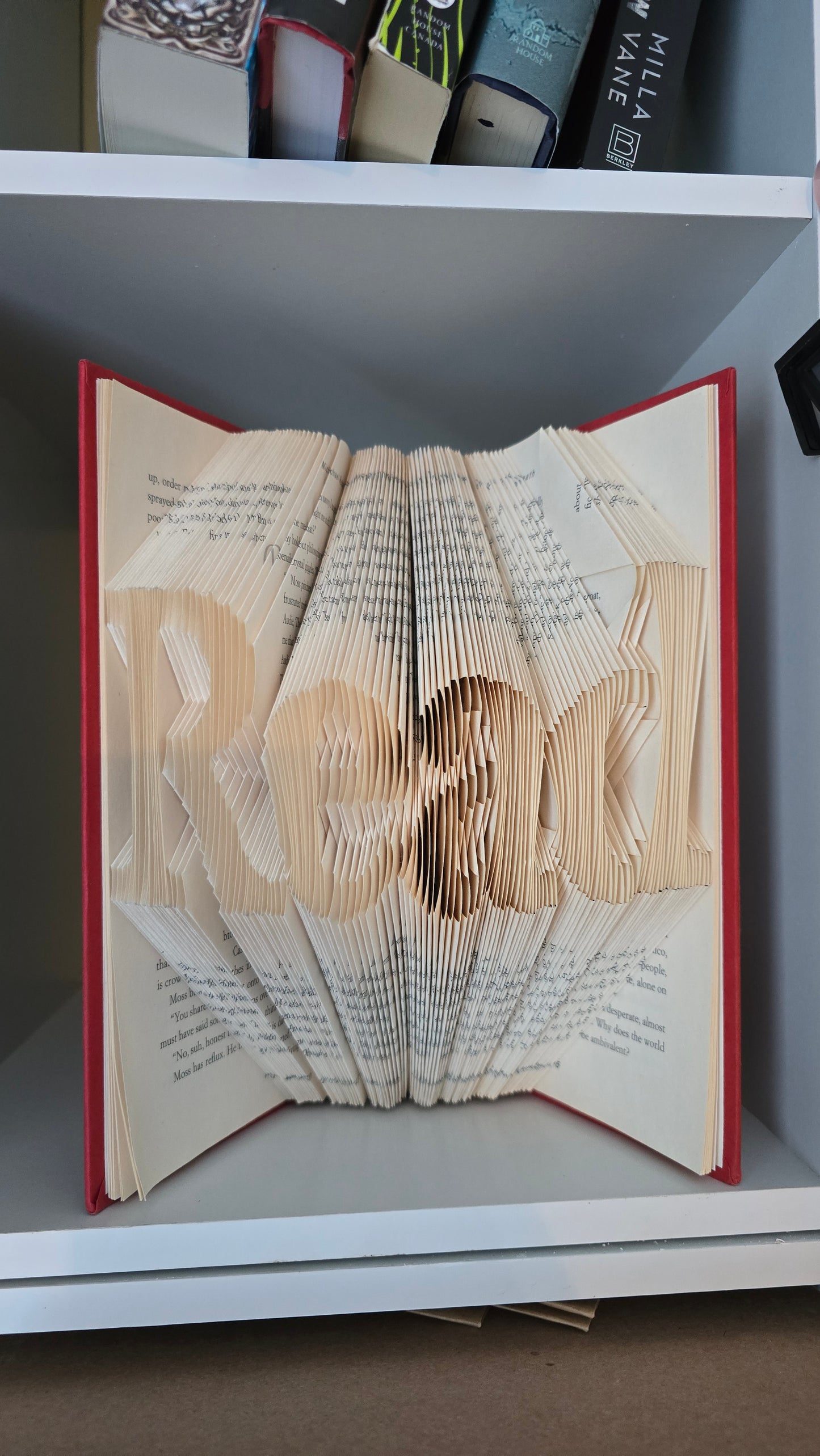Read Folded Book Art