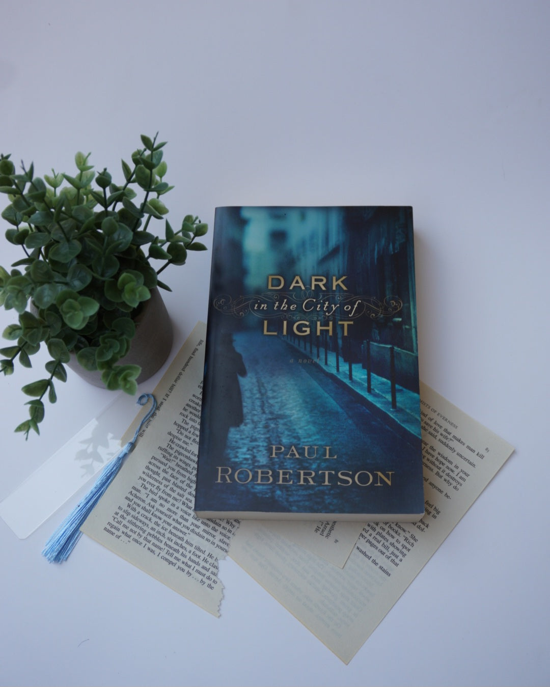 Dark in the City of Light by Paul Robertson