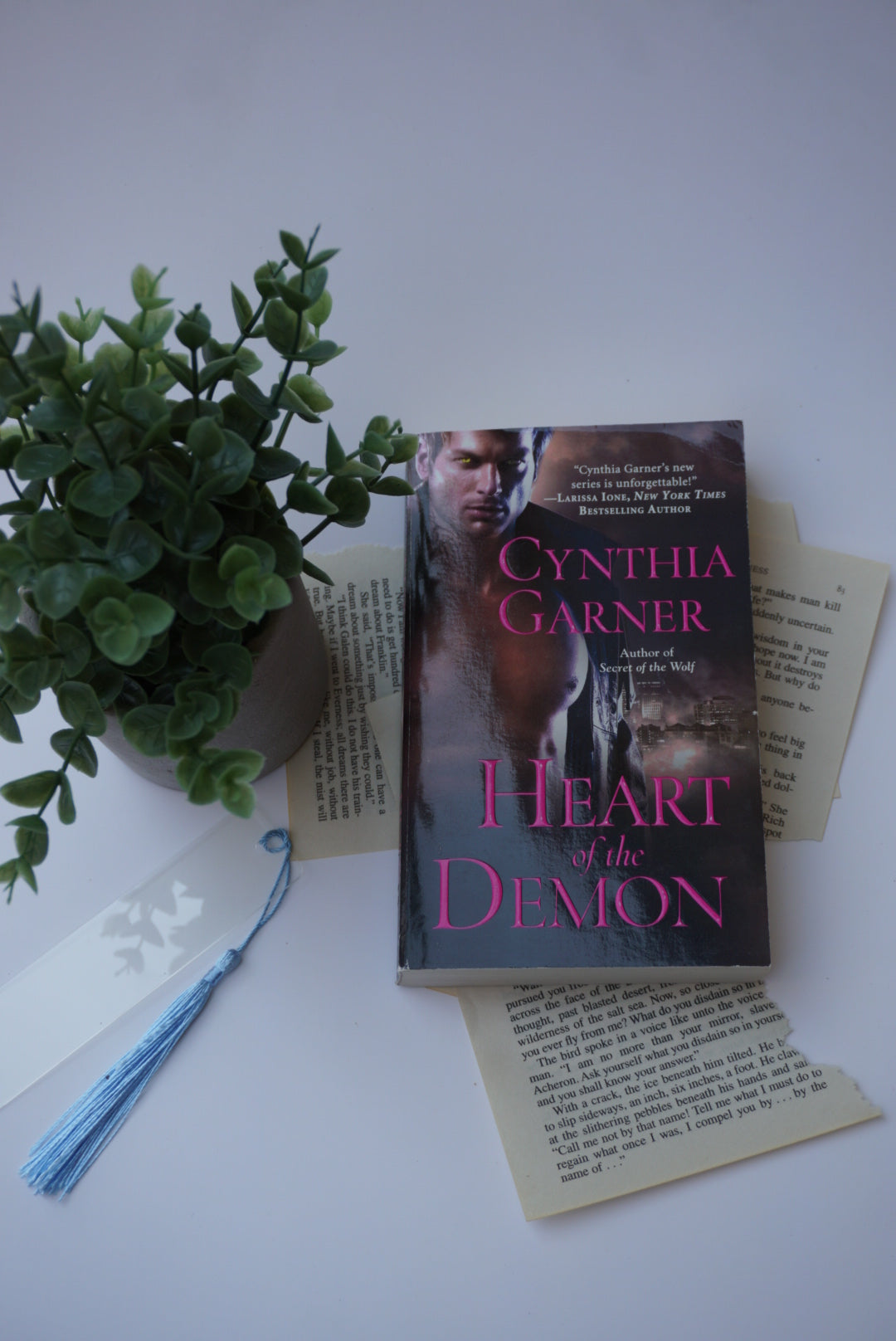 Heart of the Demon by Cynthia Garner