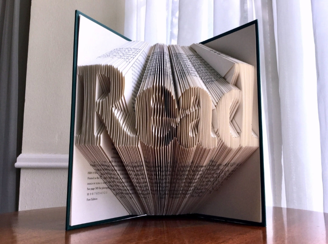 Read Folded Book Art