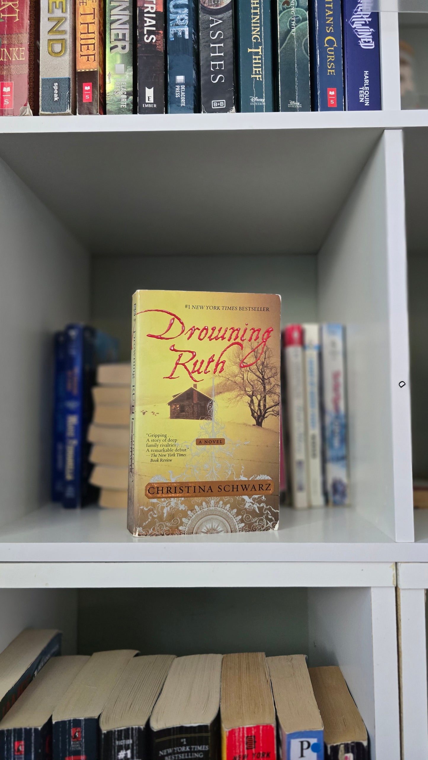 Drowning Ruth by Christina Schwarz