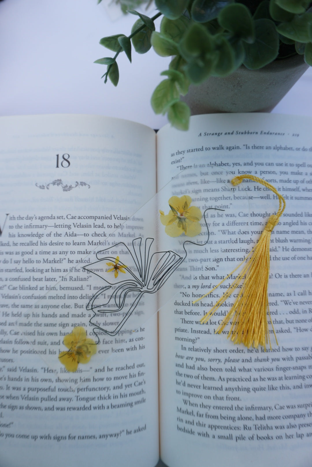 Large Pressed Flower with Bookish Design Bookmark