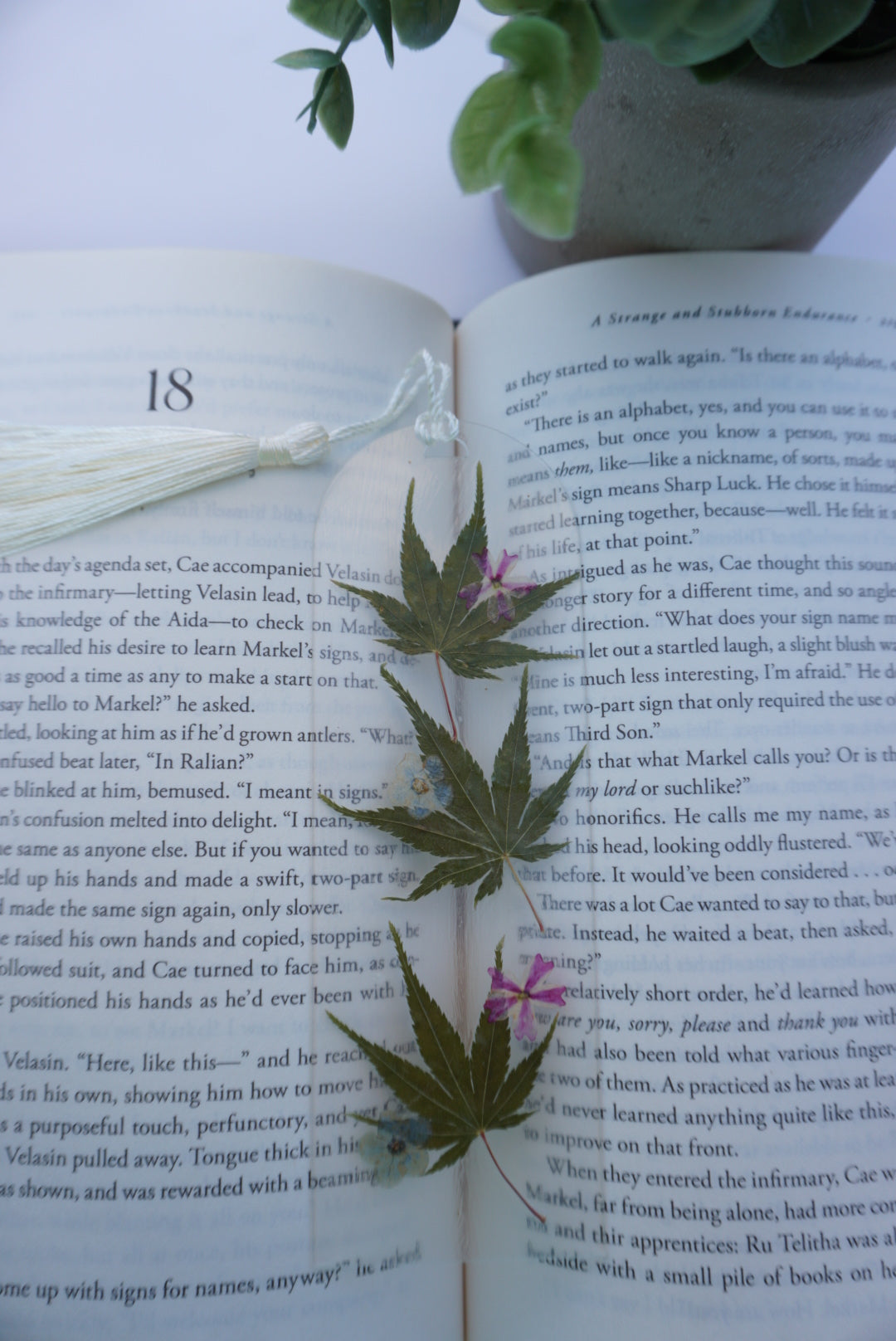 Large Pressed Flower Bookmark